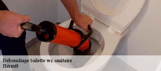 Débouchage toilette wc sanitaire 34 Hérault  Elite plomberie -5