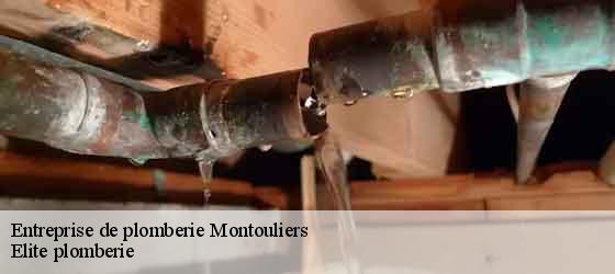 Entreprise de plomberie  montouliers-34310 Elite plomberie -4