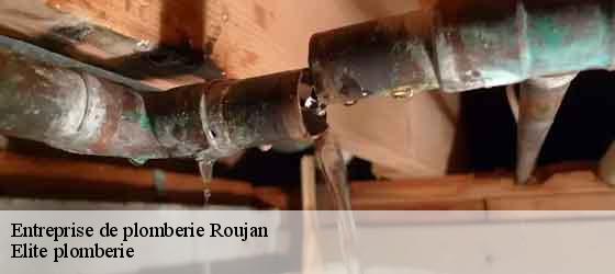 Entreprise de plomberie  roujan-34320 Elite plomberie -4