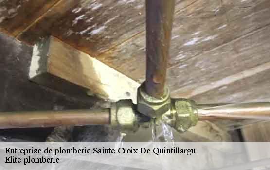 Entreprise de plomberie  sainte-croix-de-quintillargu-34270 Elite plomberie -1
