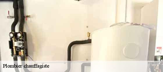 Plombier chauffagiste  celles-34800 Elite plomberie -3