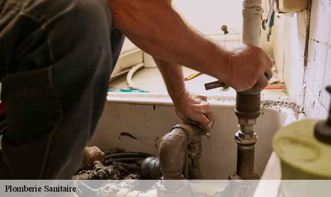 Plomberie Sanitaire  montferrier-sur-lez-34980 Elite plomberie -6