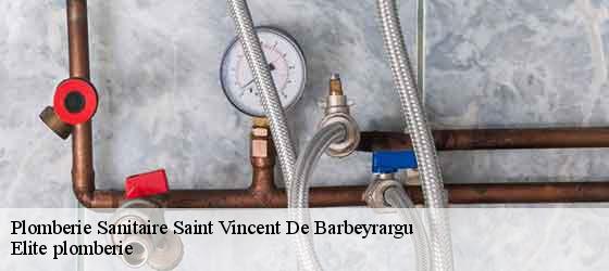 Plomberie Sanitaire  saint-vincent-de-barbeyrargu-34730 Elite plomberie -4