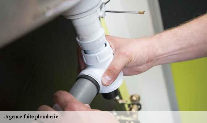 Urgence fuite plomberie  argelliers-34380 Elite plomberie -6