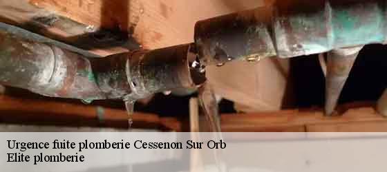Urgence fuite plomberie  cessenon-sur-orb-34460 Elite plomberie -4