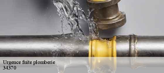 Urgence fuite plomberie  creissan-34370 Elite plomberie -5