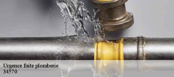 Urgence fuite plomberie  saussan-34570 Elite plomberie -5