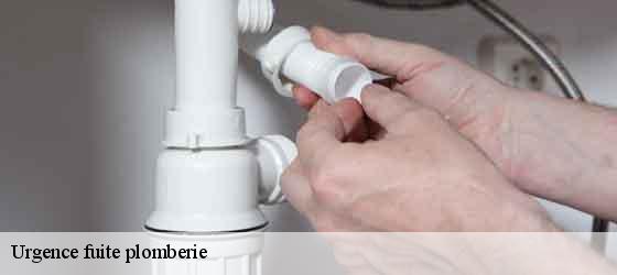 Urgence fuite plomberie  villespassans-34360 Elite plomberie -3