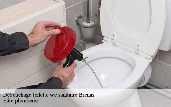 Débouchage toilette wc sanitaire  brenas-34650 Elite plomberie -1