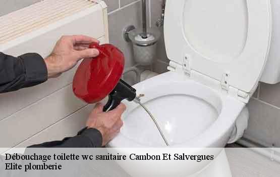 Débouchage toilette wc sanitaire  cambon-et-salvergues-34330 Elite plomberie -1
