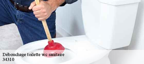 Débouchage toilette wc sanitaire  capestang-34310 Elite plomberie -2