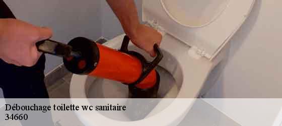 Débouchage toilette wc sanitaire  cournonterral-34660 Elite plomberie -5