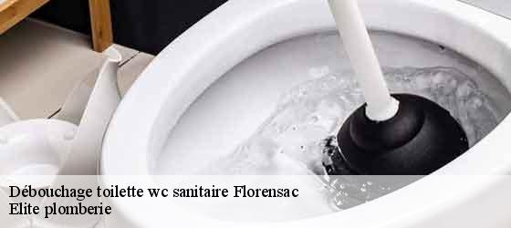 Débouchage toilette wc sanitaire  florensac-34510 Elite plomberie -4