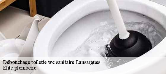 Débouchage toilette wc sanitaire  lansargues-34130 Elite plomberie -4