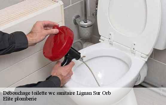 Débouchage toilette wc sanitaire  lignan-sur-orb-34490 Elite plomberie -1