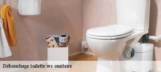 Débouchage toilette wc sanitaire  montarnaud-34570 Elite plomberie -3