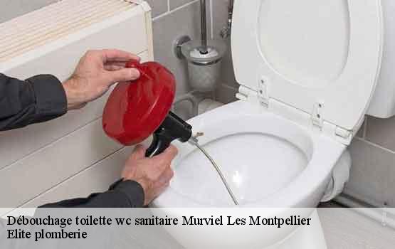 Débouchage toilette wc sanitaire  murviel-les-montpellier-34570 Elite plomberie -1