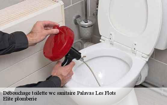 Débouchage toilette wc sanitaire  palavas-les-flots-34250 Elite plomberie -1