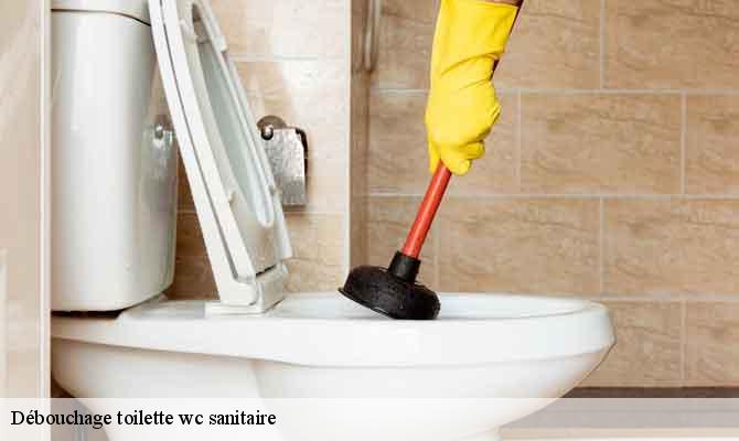 Débouchage toilette wc sanitaire  popian-34230 Elite plomberie -6