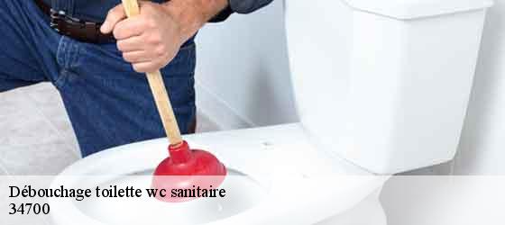 Débouchage toilette wc sanitaire  le-puech-34700 Elite plomberie -2