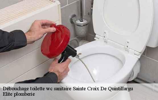 Débouchage toilette wc sanitaire  sainte-croix-de-quintillargu-34270 Elite plomberie -1