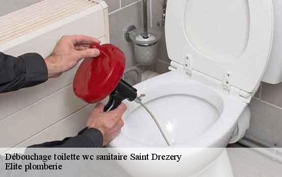 Débouchage toilette wc sanitaire  saint-drezery-34160 Elite plomberie -1