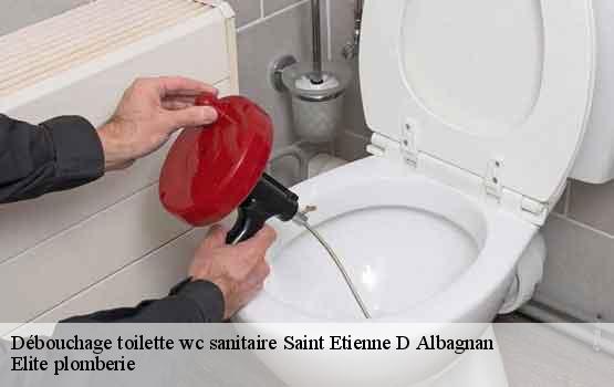 Débouchage toilette wc sanitaire  saint-etienne-d-albagnan-34390 Elite plomberie -1