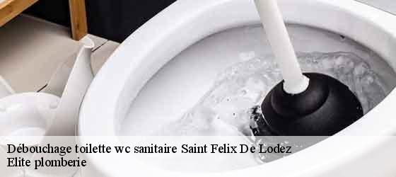 Débouchage toilette wc sanitaire  saint-felix-de-lodez-34725 Elite plomberie -4