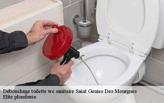 Débouchage toilette wc sanitaire  saint-genies-des-mourgues-34160 Elite plomberie -1