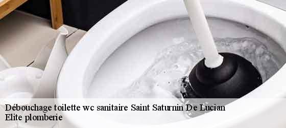 Débouchage toilette wc sanitaire  saint-saturnin-de-lucian-34725 Elite plomberie -4