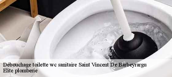 Débouchage toilette wc sanitaire  saint-vincent-de-barbeyrargu-34730 Elite plomberie -4
