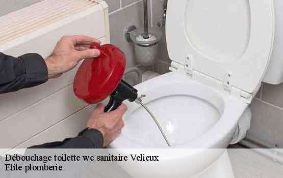 Débouchage toilette wc sanitaire  velieux-34220 Elite plomberie -1