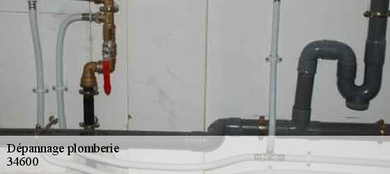 Dépannage plomberie  carlencas-et-levas-34600 Elite plomberie -5