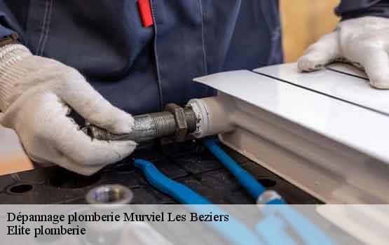 Dépannage plomberie  murviel-les-beziers-34490 Elite plomberie -1