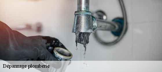 Dépannage plomberie  olmet-et-villecun-34700 Elite plomberie -3