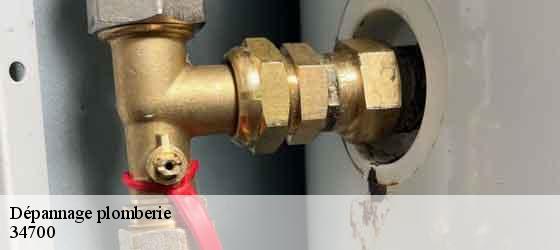 Dépannage plomberie  saint-etienne-de-gourgas-34700 Elite plomberie -2