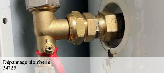 Dépannage plomberie  saint-saturnin-de-lucian-34725 Elite plomberie -2