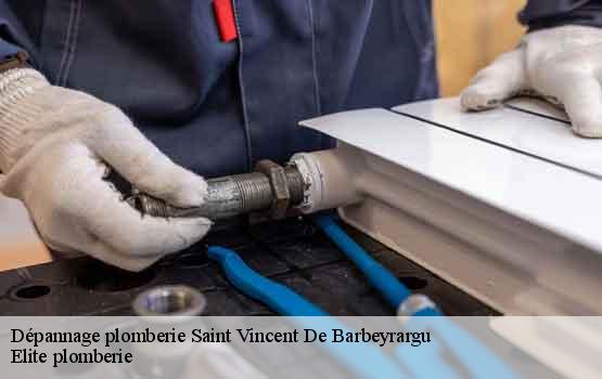 Dépannage plomberie  saint-vincent-de-barbeyrargu-34730 Elite plomberie -1
