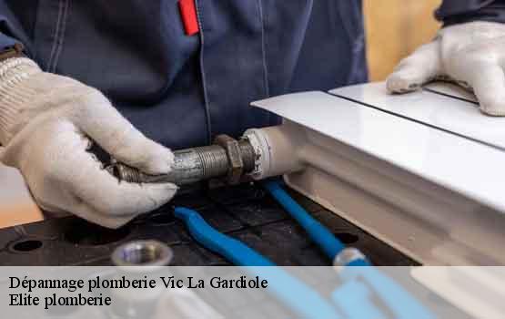 Dépannage plomberie  vic-la-gardiole-34110 Elite plomberie -1