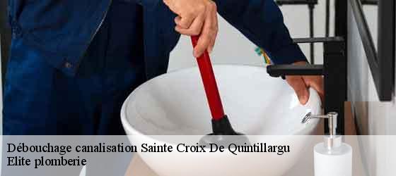 Débouchage canalisation  sainte-croix-de-quintillargu-34270 Elite plomberie -4